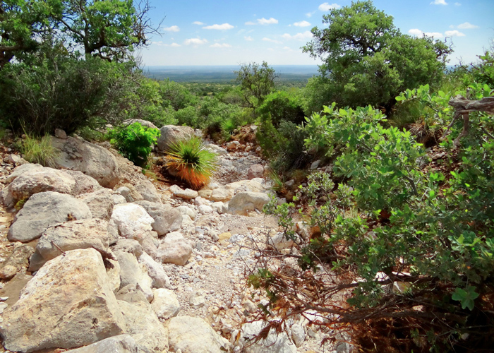 Senderos para caminar y andar en bici por Steiner Ranch
